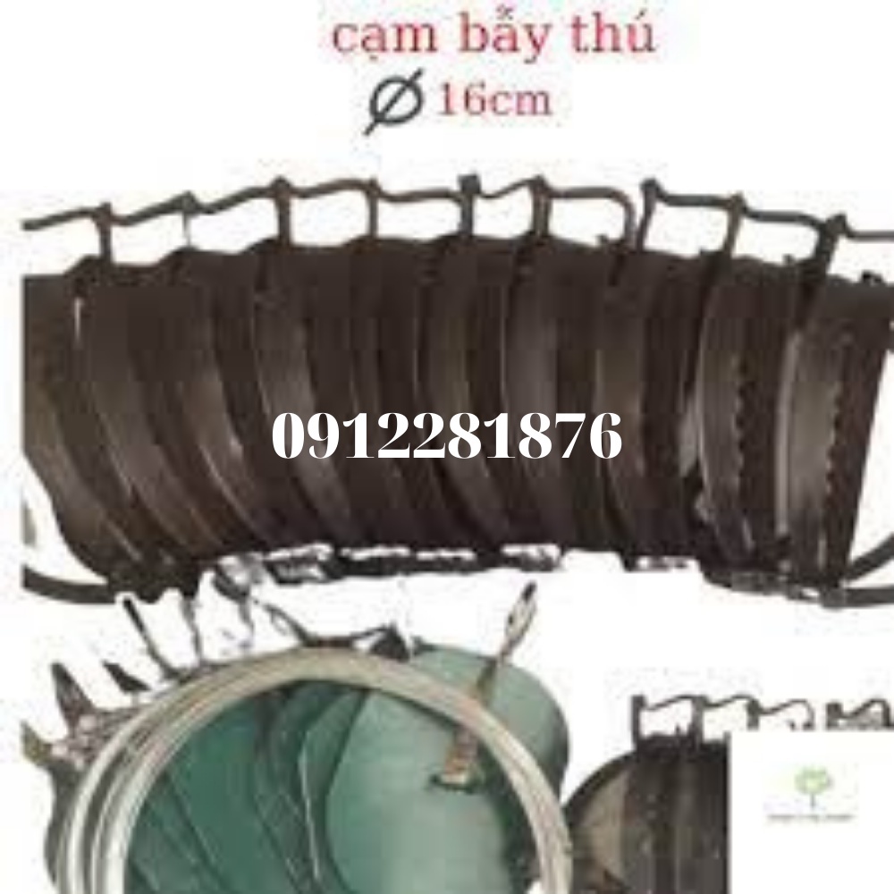 cạm bẫy thú hàm rộng 16 cm có nẫy,bàn đạp và dây phanh