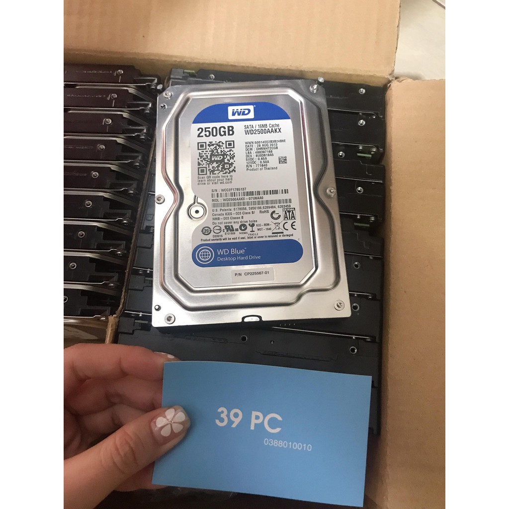 Ổ CỨNG HDD 250G WD BLUE 2ND