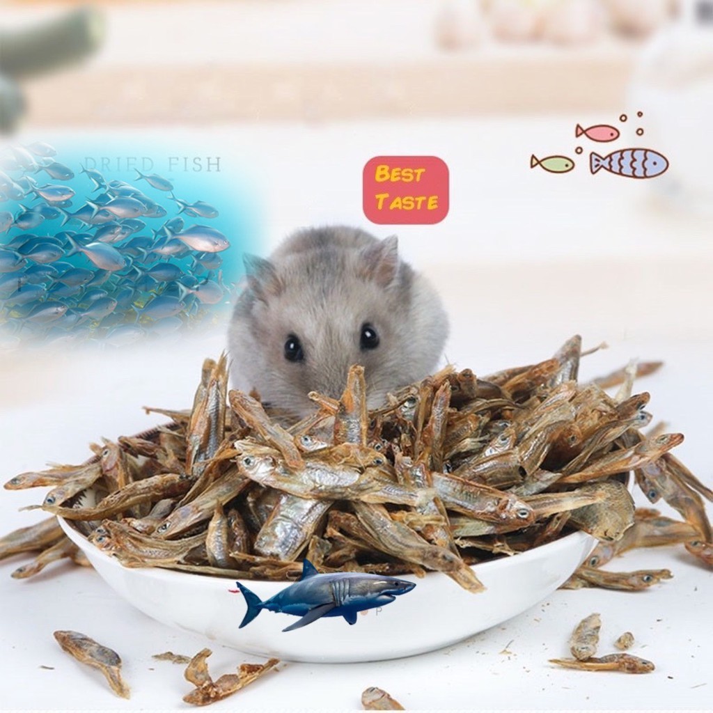 CÁ SẤY KHÔ CHO HAMSTER