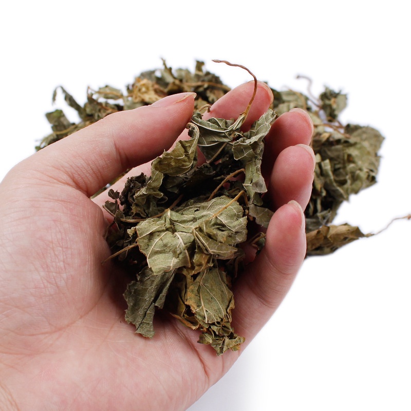 Lá Nho Bạc Actinidia Polygama (Silver Vine) Khô Hũ 10g AP10 MIAOCAT