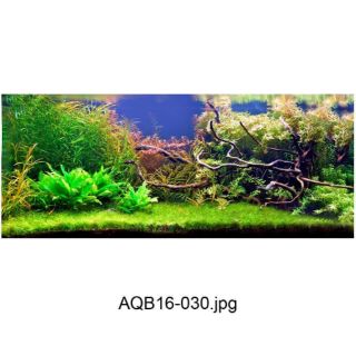 Tranh 3D bể cá (kt 60x40;80x50;90x45;100x50;120x60 cm)