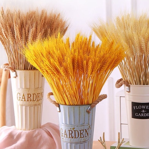 BÓ LÚA MẠCH KHÔ THIÊN NHIÊN ,phụ kiện decor, chụp ảnh sản phẩm đẹp