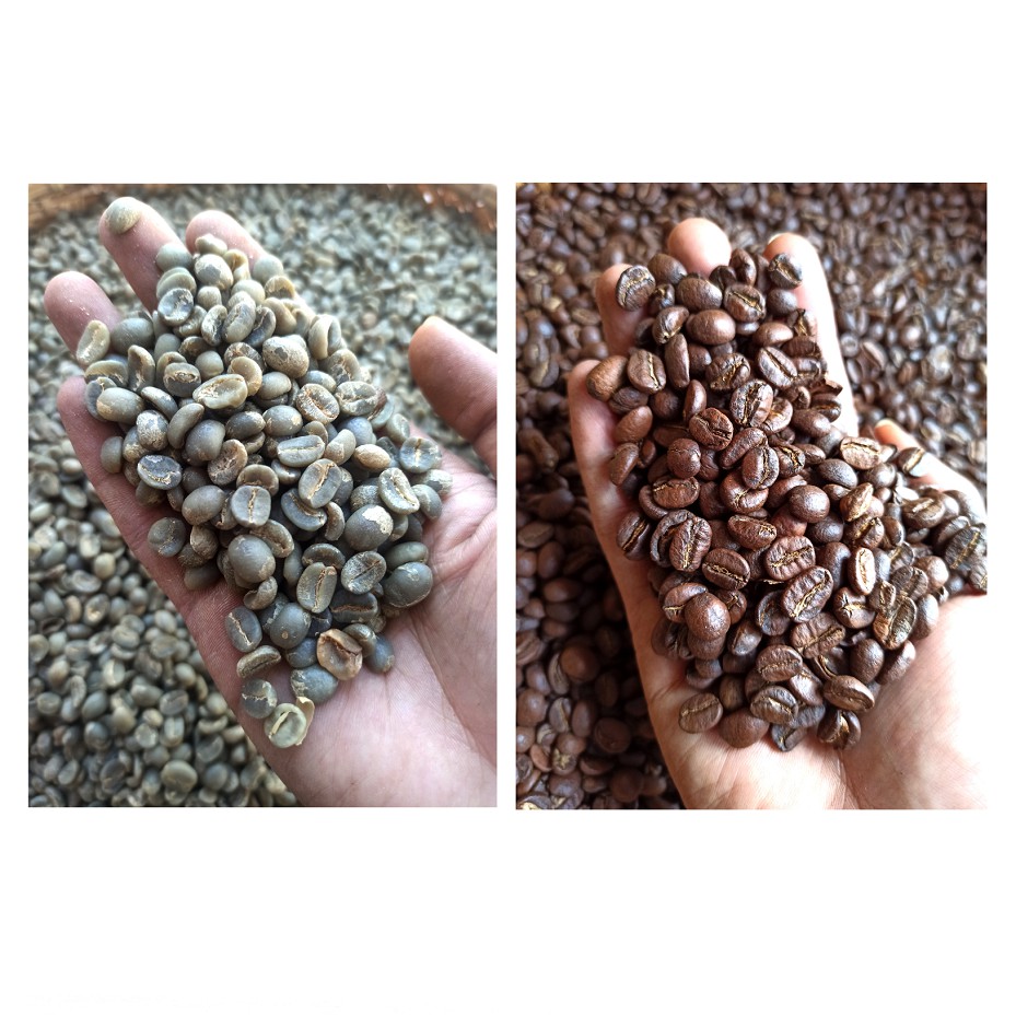 Cà phê Arabica Cầu Đất [500g/ 1 túi] - 100% Cà phê mộc rang xay nguyên chất - TBCAFE | BigBuy360 - bigbuy360.vn