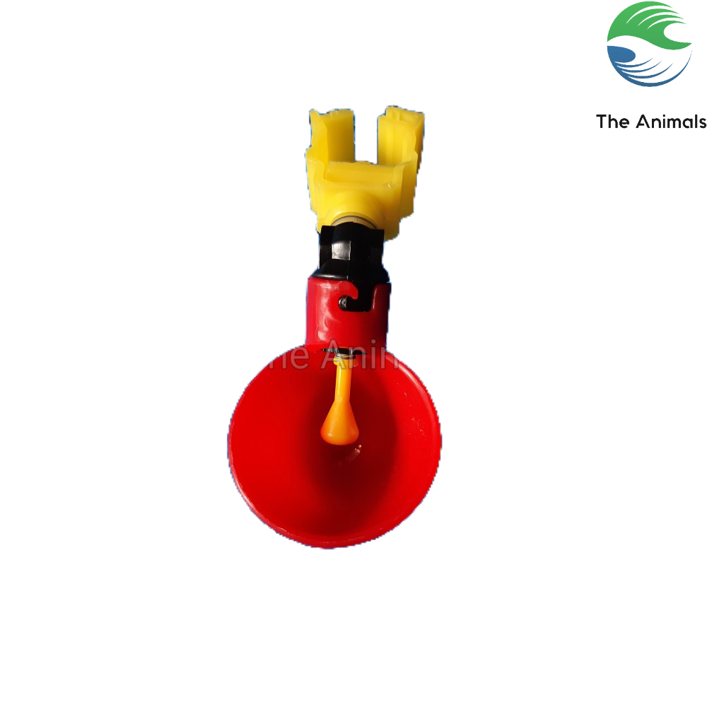 [Máng + Kẹp ống] Máng uống tự động cho gà, chim, vịt,....