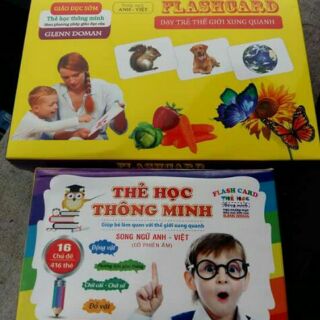 Combo 2 bộ thẻ học loại 1 song ngữ cho bé, bộ thẻ to 14 chủ đề và 280 thẻ, bộ thẻ nhỏ 16 chủ đề 416 thẻ