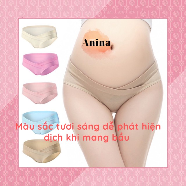 Quần lót bầu cạp chéo kháng khuẩn chất coton chất lượng loại 1 QL001