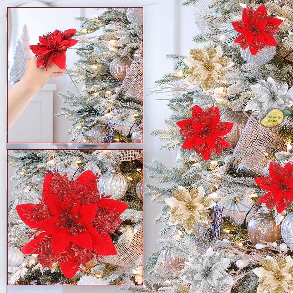 Hoa Trạng Nguyên Nhiều Màu Trang Trí Noel Giáng Sinh