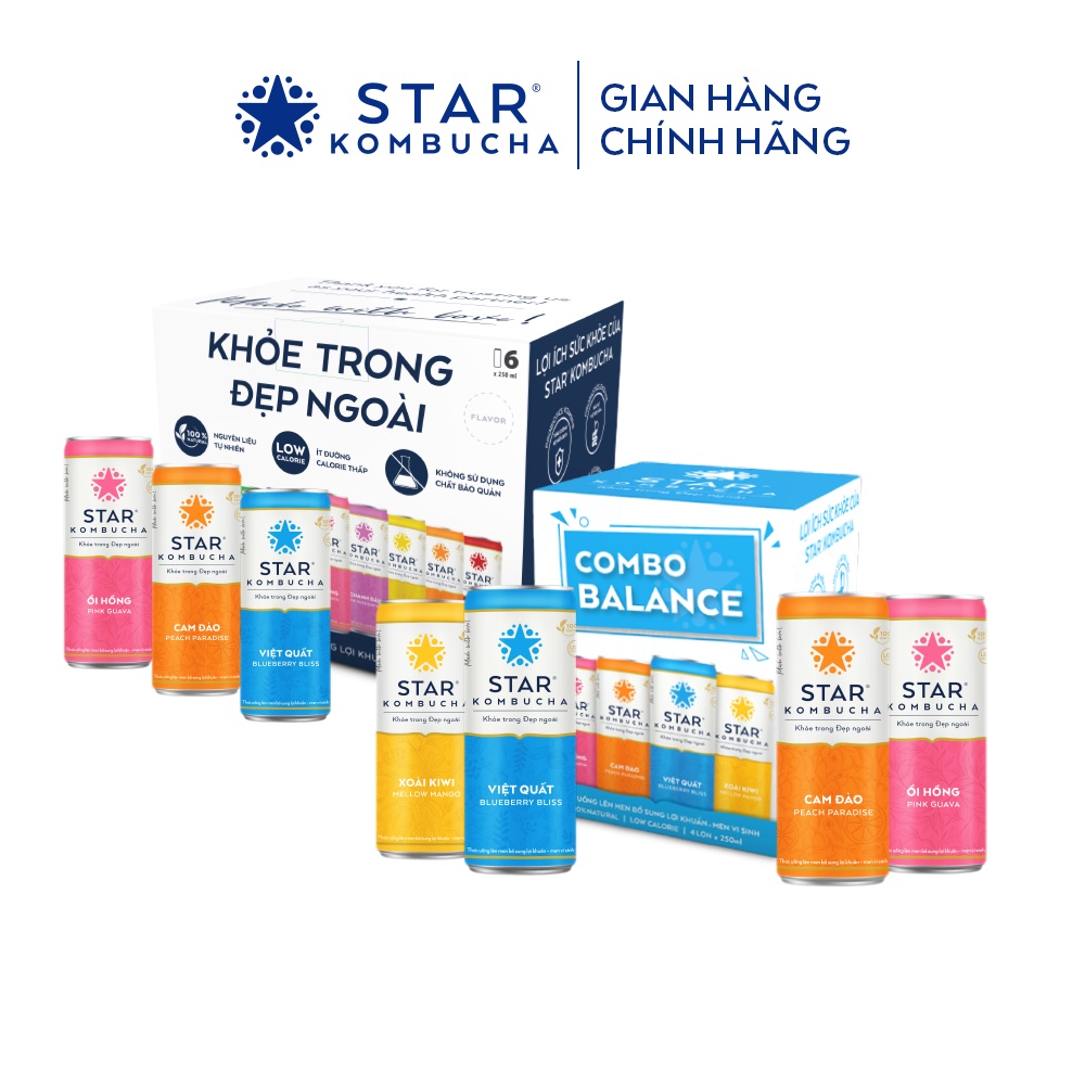 Combo 1 thùng 6 lon trà STAR KOMBUCHA mix vị + 1 Combo 4 lon trà STAR KOMBUCHA Balance Pack (250ml/lon)