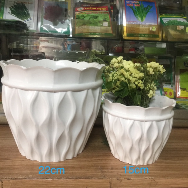 Chậu trồng hoa đẹp- chậu lưới 22cm