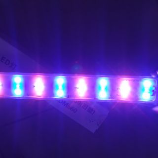 Đèn Led 3 chế độ màu cho bể MJ - 560 (bể đúc Minjiang 560)
