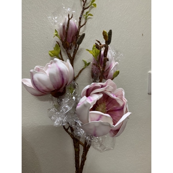 Hoa mộc lan thơm cao cấp