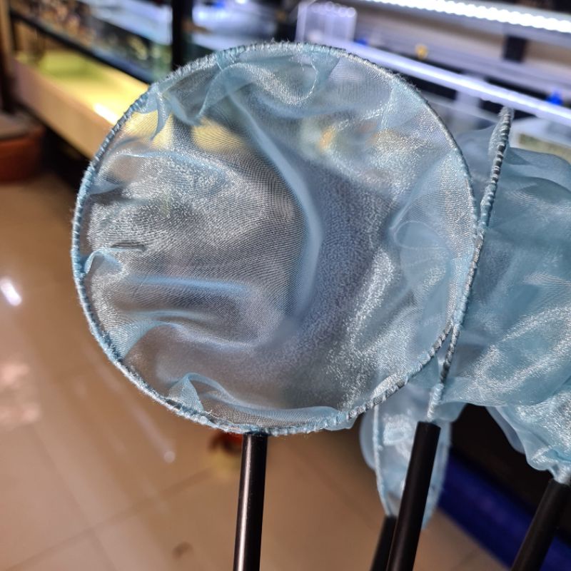 Stupid Vợt đủ màu