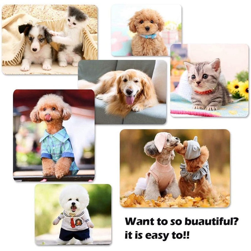 Bộ Dụng Cụ Kéo Cắt Tỉa Lông Cho Thú Cưng