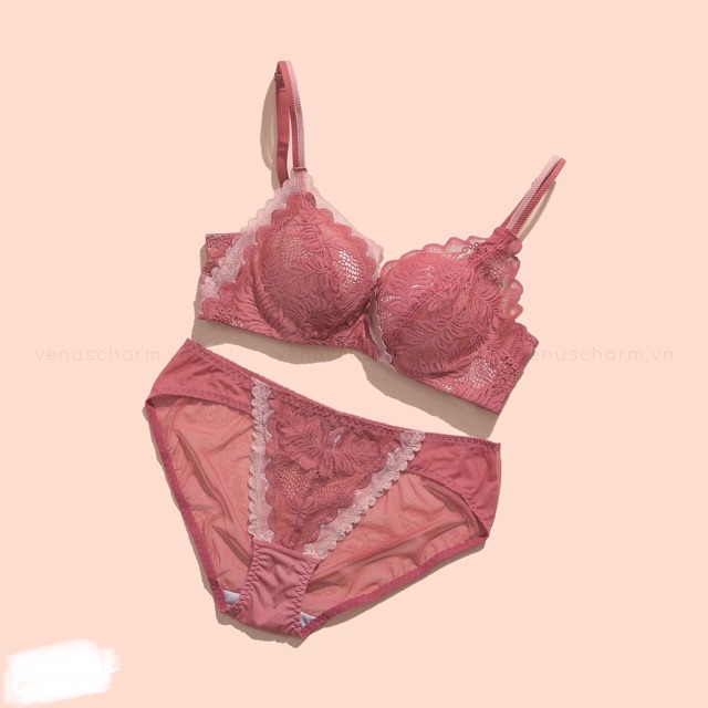 Bộ đồ lót PD mút vừa siêu mềm không gọng B99 | BigBuy360 - bigbuy360.vn