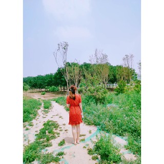 [order] váy hoa nữ