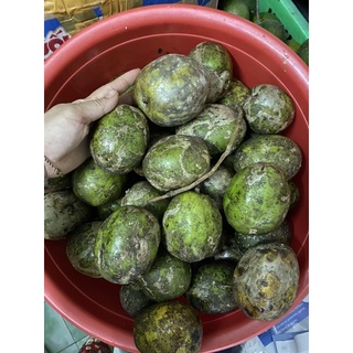 Trái Cóc Miền Tây Bao Ngon