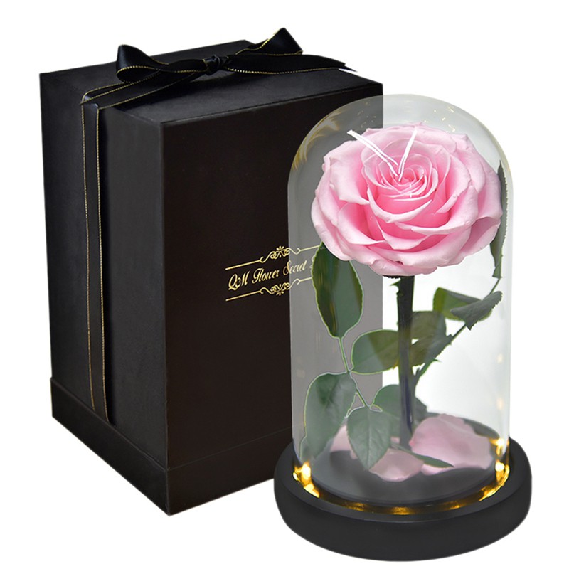 Forever Preserved Flower in Glass Dome Lamp for Gift Box,Pink