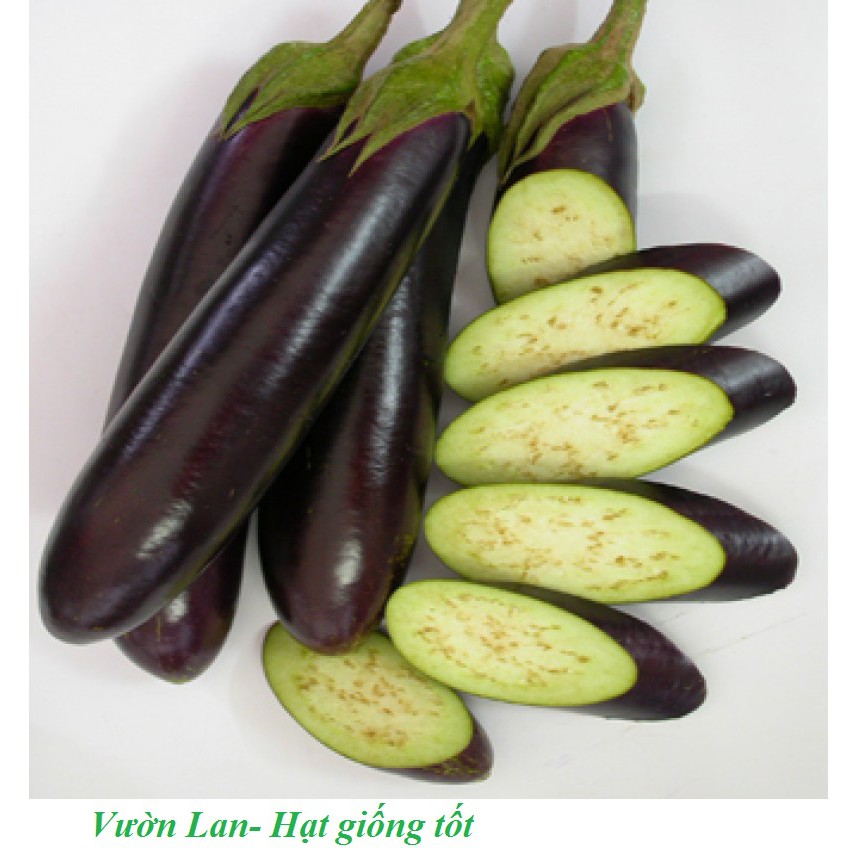 Hạt giống cà tím trái dài ruột xanh  1gr