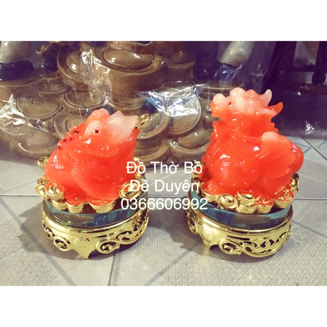 Ông cóc + Tỳ hưu cam đỏ