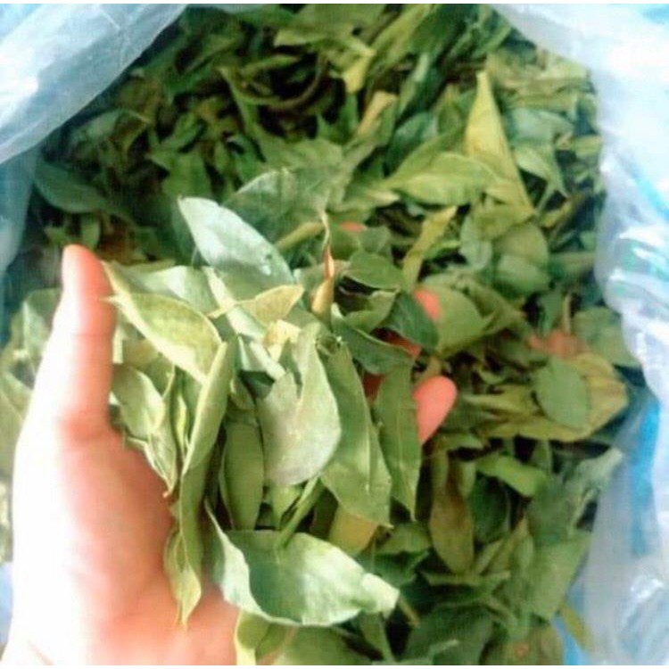 1KG LÁ MẮC MẬT SẤY KHÔ( SẤY LẠNH)-TÂY BẮC