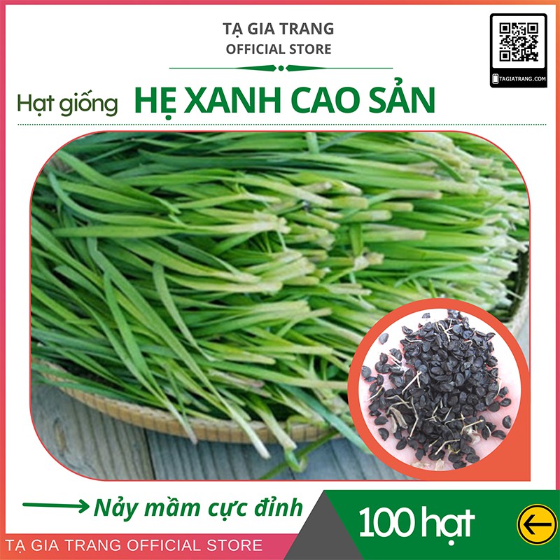 Hạt giống hẹ xanh cao sản ăn lá - Gói hơn 100 hạt