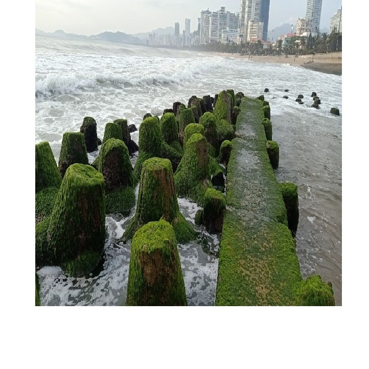 Shop Thế giới hạnh phúc