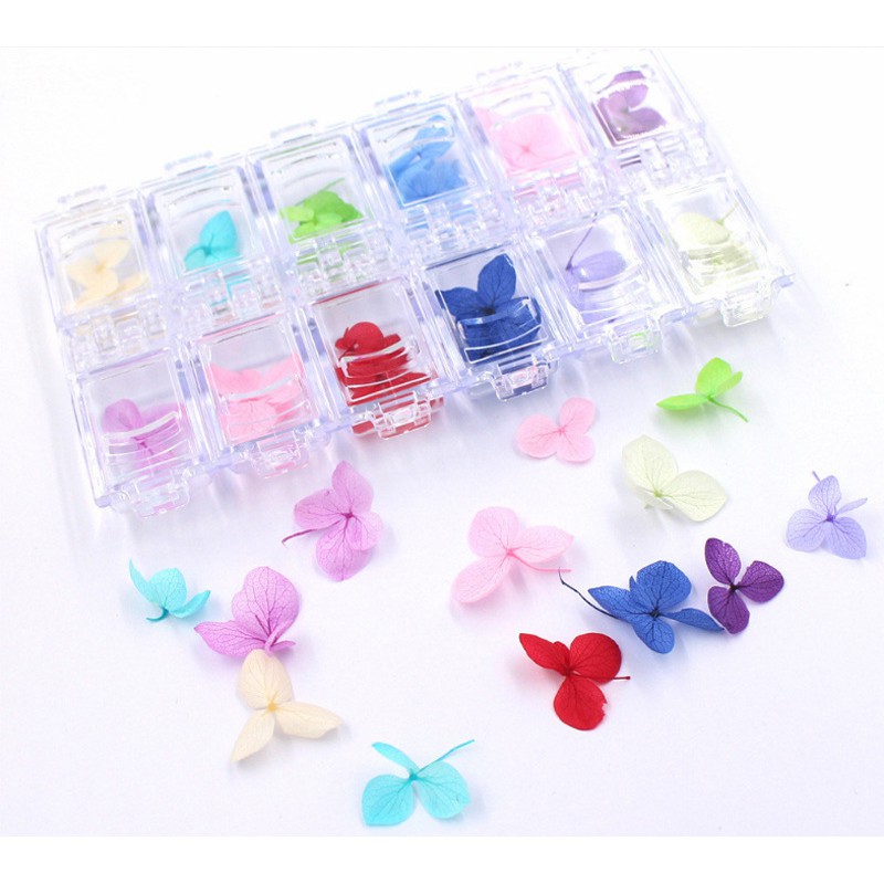 Khay 12 loai Hoa khô trang trí móng 3D Hoa Bự
