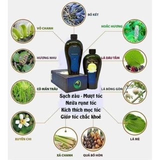 Dầu gội Thanh mộc hương