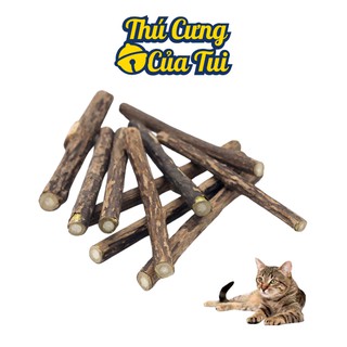 2 Cây Gỗ Catnip Bạc Hà Cho Mèo Gặm Trắng Răng - Thú Cưng Của Tui