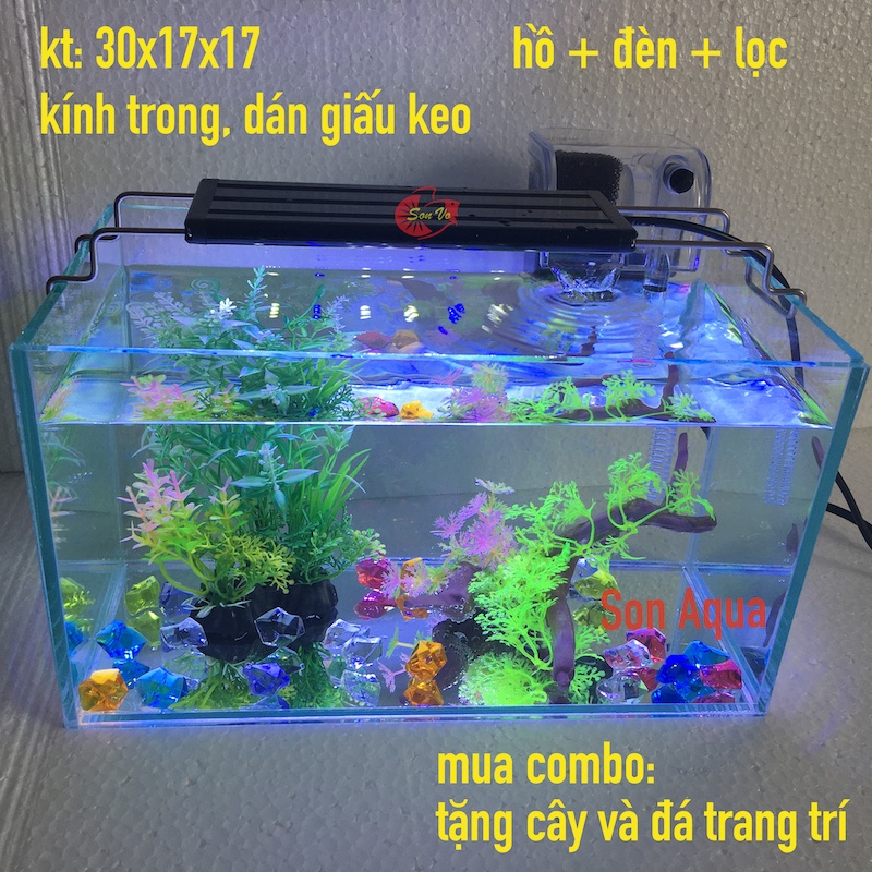 bể cá mini Combo gồm hồ đèn lọc, trọn bộ hồ cá để bàn thủy sinh phong thủy, kính trong dán giấu keo