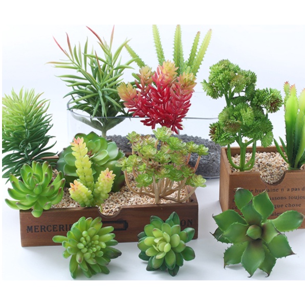 Cây sen đá giả giống thật có nhiều mẫu trang trí mang lại không gian thư giãn cho ngôi nhà của bạn