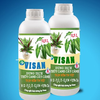 Dung dịch thủy canh cây cảnh