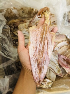 Mực câu xịn Cát Bà size 35 40con