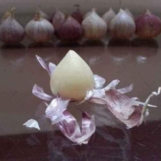 500gr tỏi cô đơn Sơn La