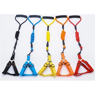 DÂY DẮT CHÓ TO TỪ 10-40KG