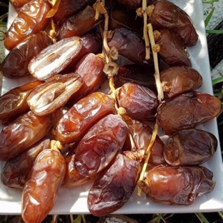 Chà là Ấn Độ Nhập khẩu