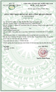 Mầm đậu nành Đô Đô
