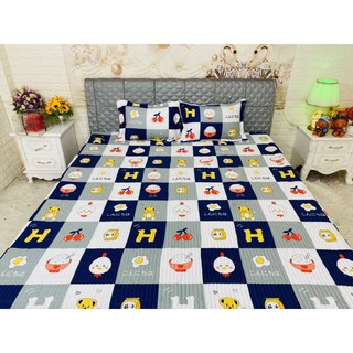 Bộ ga gối chun trần 3 món 2mx2m2