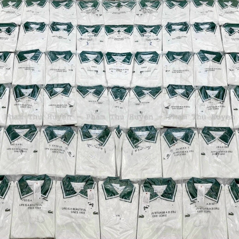 Áo polo nữ phối cổ xanh viền tay