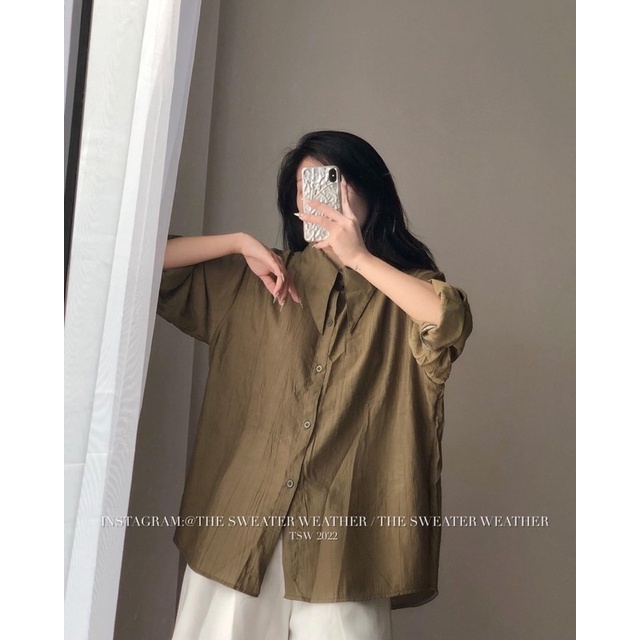 Áo sơmi trơn đũi nhăn cổ nhọn hàng chuẩn l1