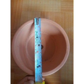 Chậu đất nung lùn 16cm x 8cm
