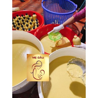 CỐT TRÀM GỪNG TỎI HANDMADE