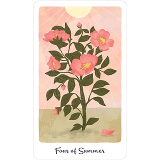 Bộ Bài Harmony Tarot (Guu Tarot Shop)
