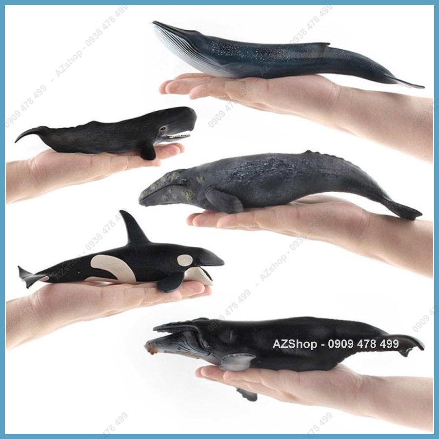 Mô Hình Họ Hàng Nhà Cá Voi Đại Dương - Dài 20-28cm