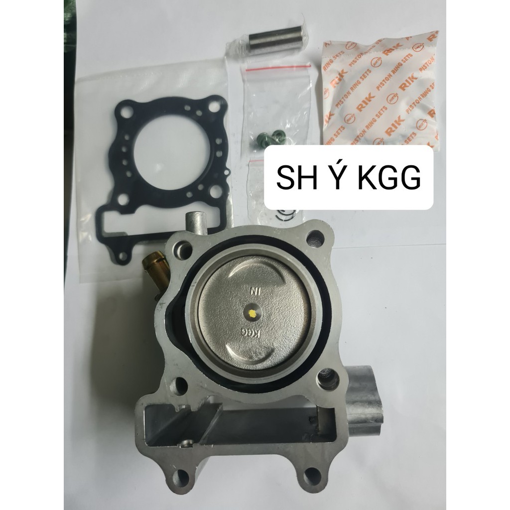 Bộ lòng  xe SH Ý 150