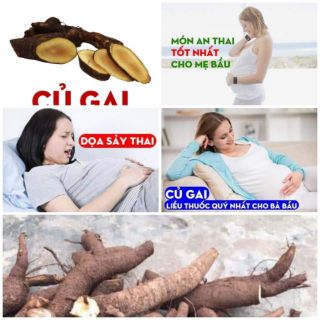 Củ gai an thai 1kg