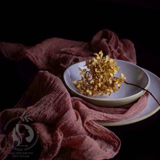 Vải mùng lưới màu trang trí chụp hình