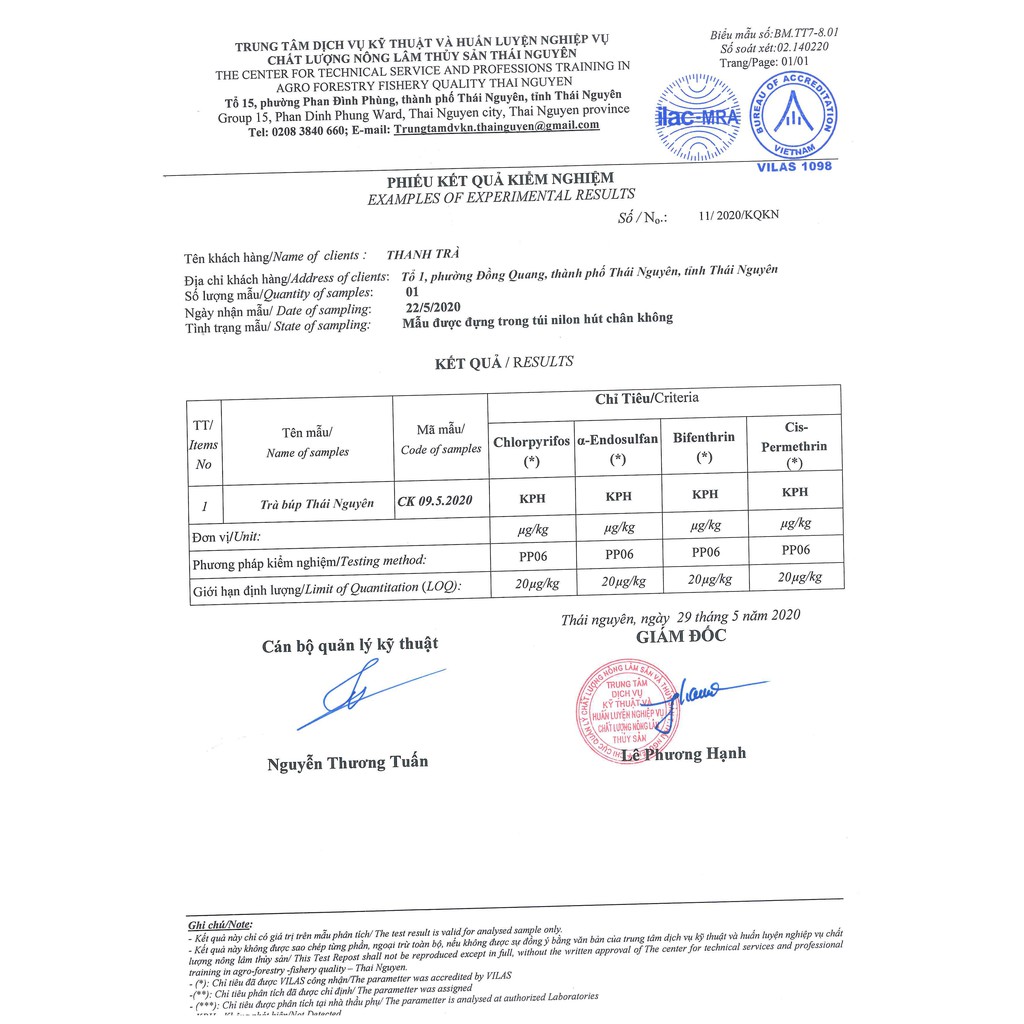 [GIÁ BÁN BUÔN] Trà Búp Đặc Biệt Thái Nguyên - Thanh Trà Bán Buôn 200G (1 gói 200g)