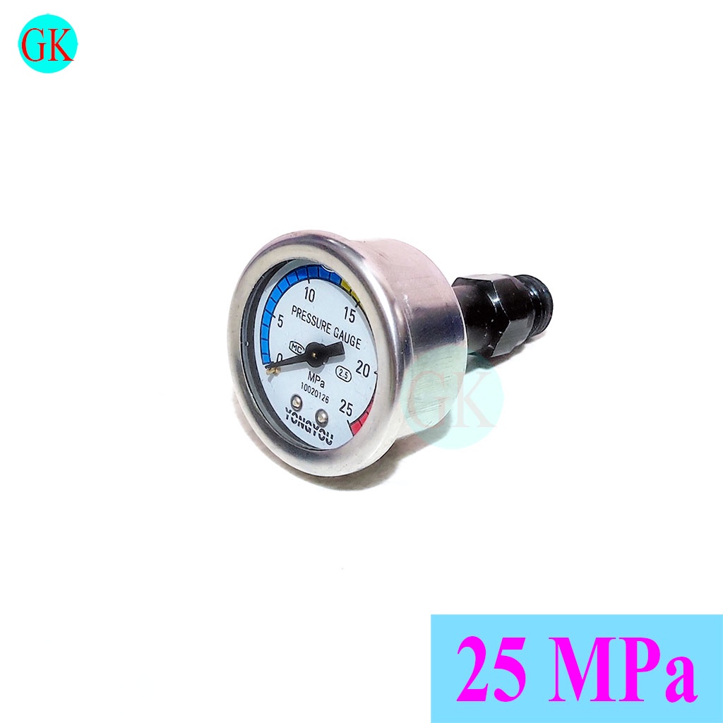 Đồng hồ đo áp suất 25MPa [K-15-18]