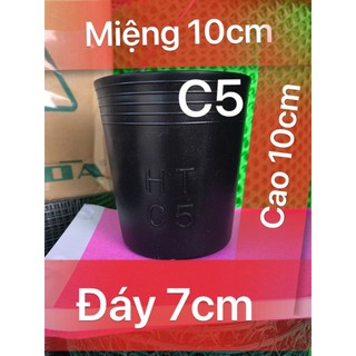 Combo 5 Chậu trồng cây, chậu ươm cây, chậu nhựa đen dày C5 ươm cây non